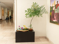 Ikebana en Museo Ralli 2022-33